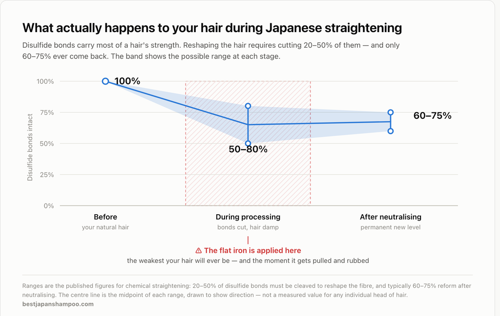 Disulfide bonds fall from 100% before Japanese straightening to 50–80% during processing, settling at 60–75% after neutralising. The flat iron is applied at the weakest point.